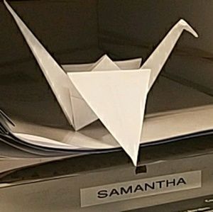 Meet your Posher, Sam